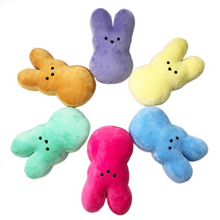 Load image into Gallery viewer, Personalized Plush Peep Bunny
